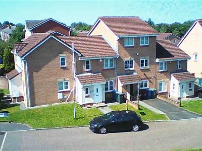 Picture 18